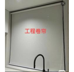 Project roller blind